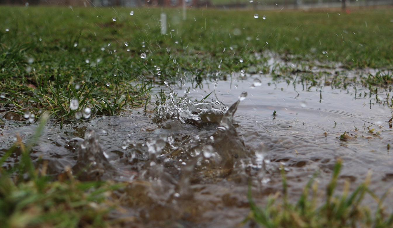 wet and muddy field